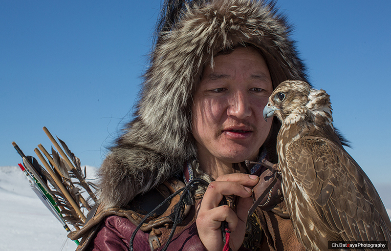 falconry mongolia in ulaanbaatar
